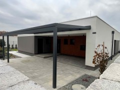životinja bez rogova