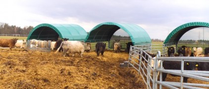 Sklonište za stoku, veličine 6 x 6 m