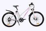 Električni bicikl Isabel II 12Ah